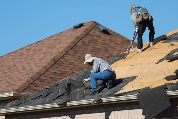 Best Metal Roofing Installation  in Laurel, FL