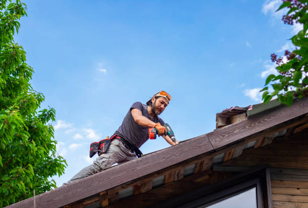 Best 4 Ply Roofing  in Laurel, FL