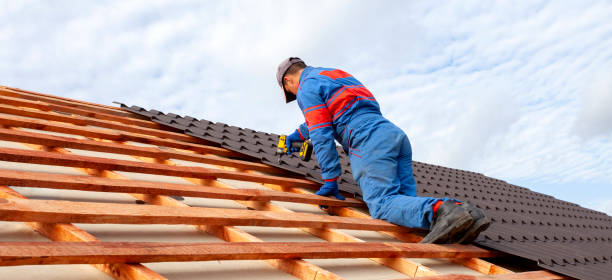 Best Asphalt Shingles Roofing  in Laurel, FL