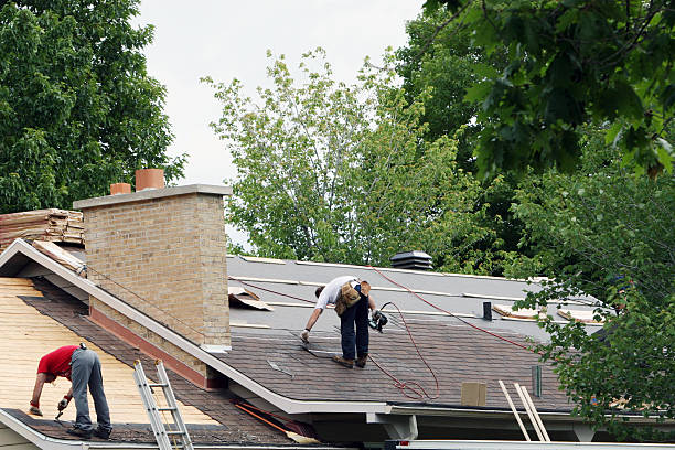 Fast & Reliable Emergency Roof Repairs in Laurel, FL