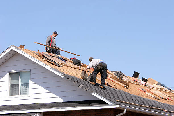 Best Solar Panel Roofing Installation  in Laurel, FL